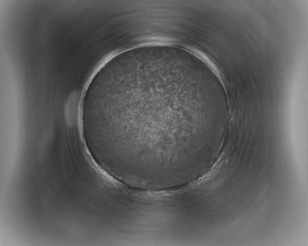 X0000116431243200912151012