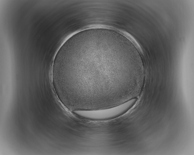 X0000116431244200912151012