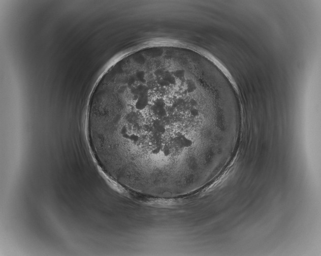 X0000116431245200912151012