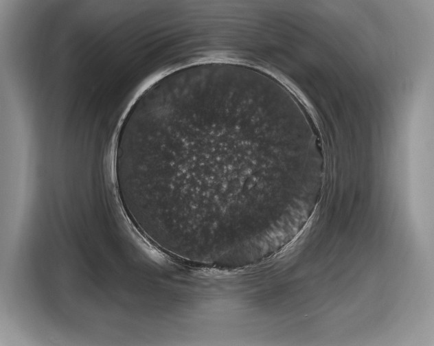 X0000116431246200912151012