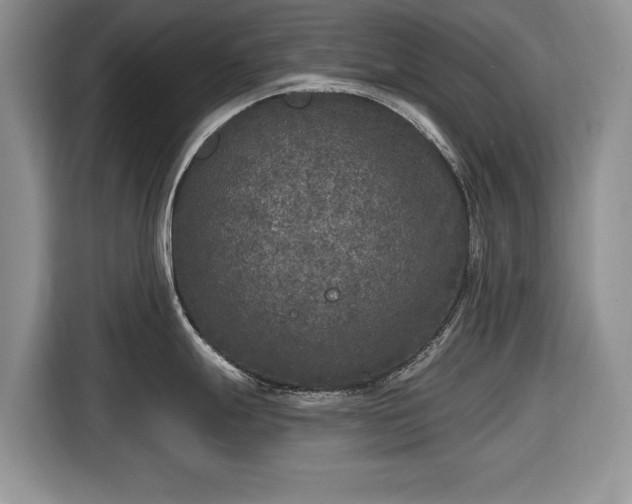 X0000116431247200912151012