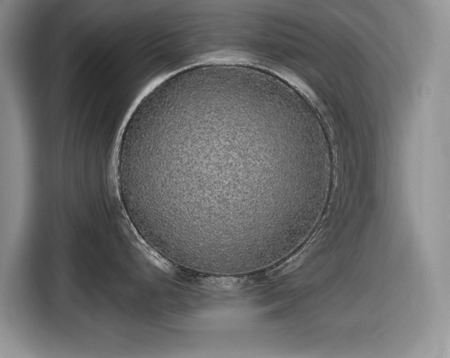 X0000116431248200912151012