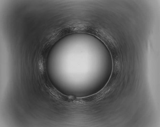 X0000116431250200912151011