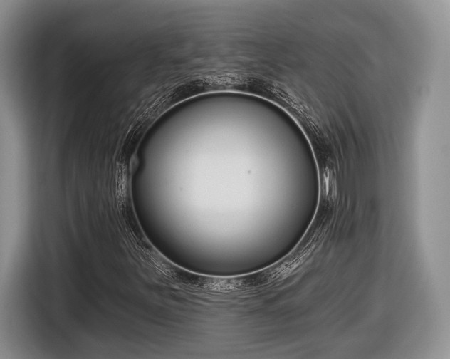 X0000116431251200912151011