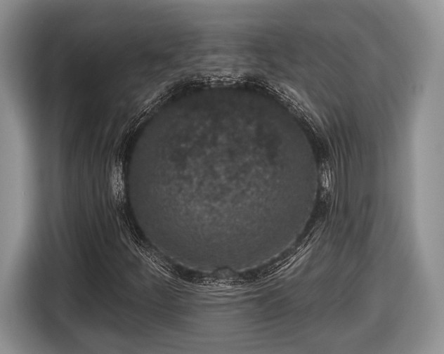 X0000116431252200912151011