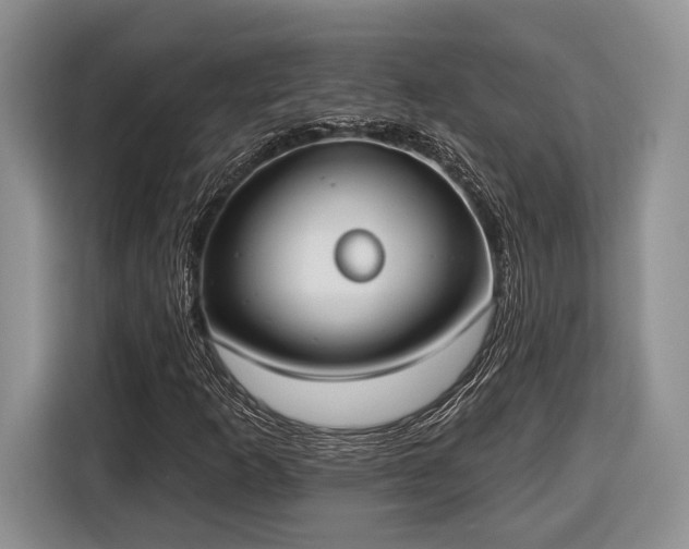 X0000116431253200912151011