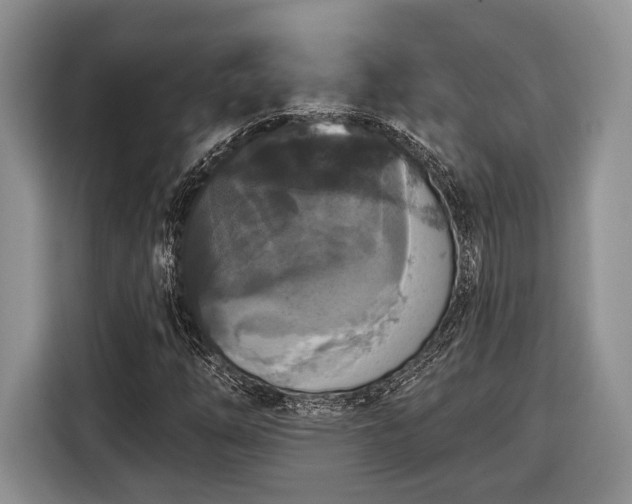 X0000116431254200912151011
