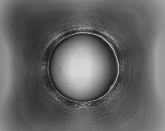 X0000116431255200912151011