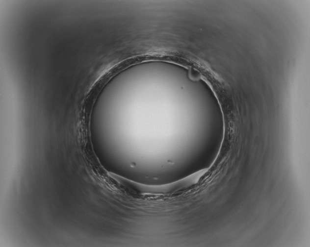X0000116431256200912151011
