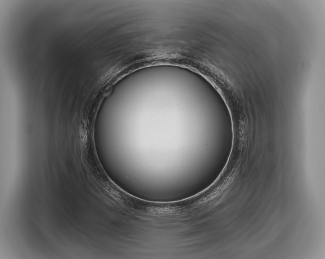X0000116431257200912151011