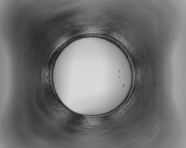 X0000116431258200912151011