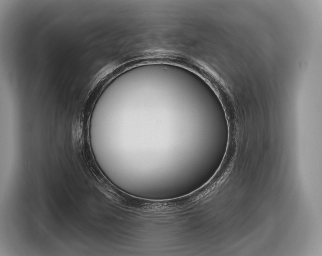 X0000116431259200912151011