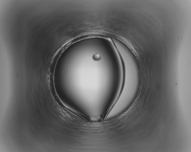 X0000116431260200912151011
