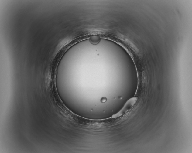 X0000116431261200912151011