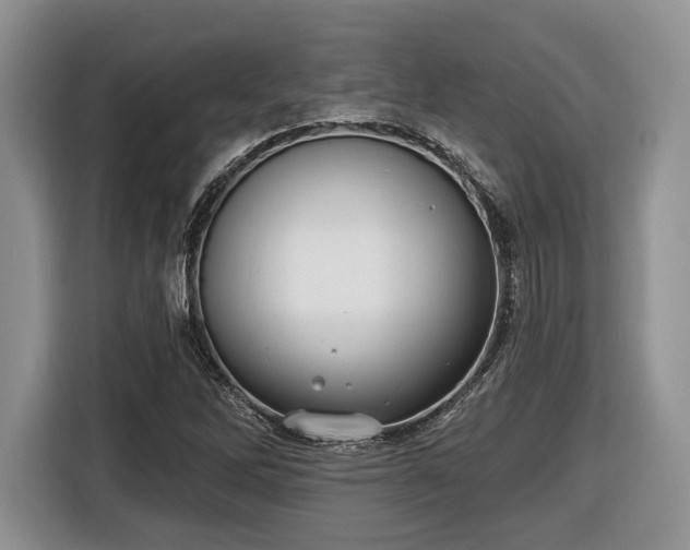 X0000116431262200912151011