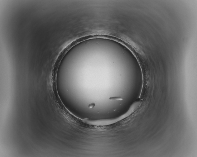 X0000116431264200912151011