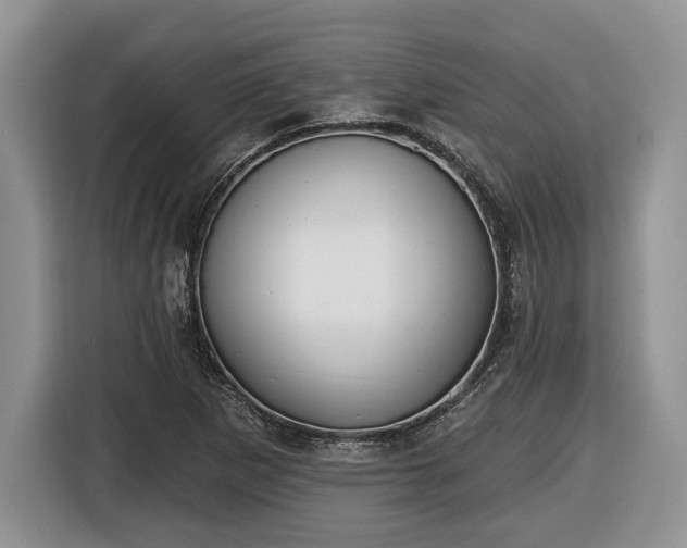 X0000116431265200912151011