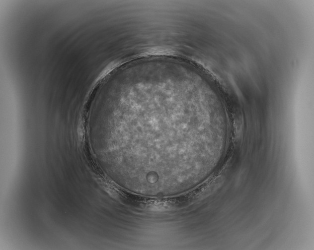 X0000116431266200912151011