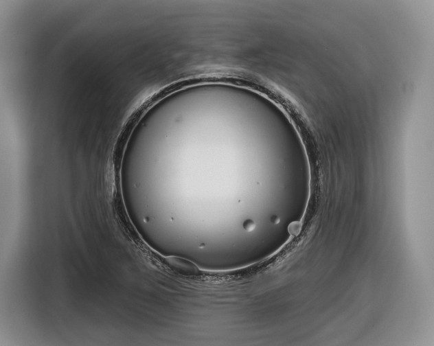 X0000116431267200912151011