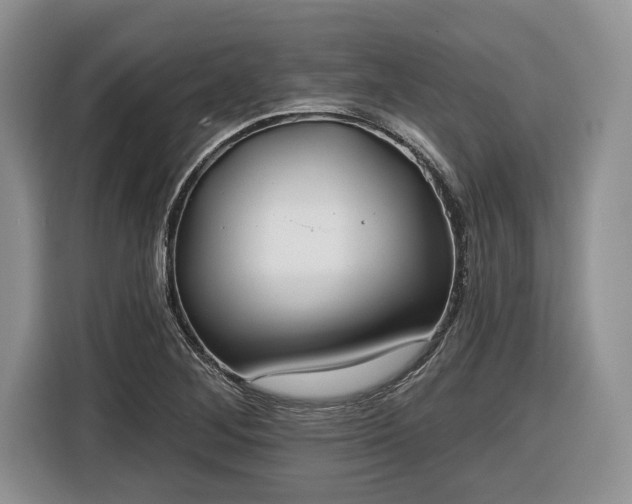 X0000116431268200912151011