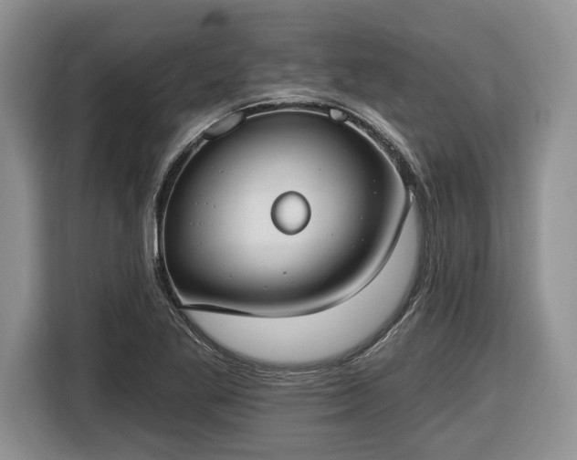 X0000116431269200912151011