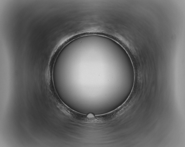 X0000116431270200912151011