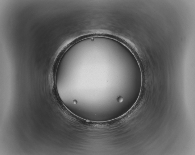 X0000116431271200912151011