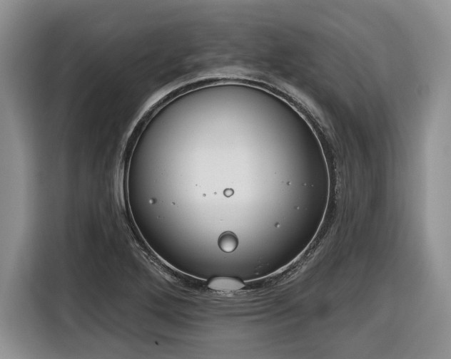 X0000116431272200912151011