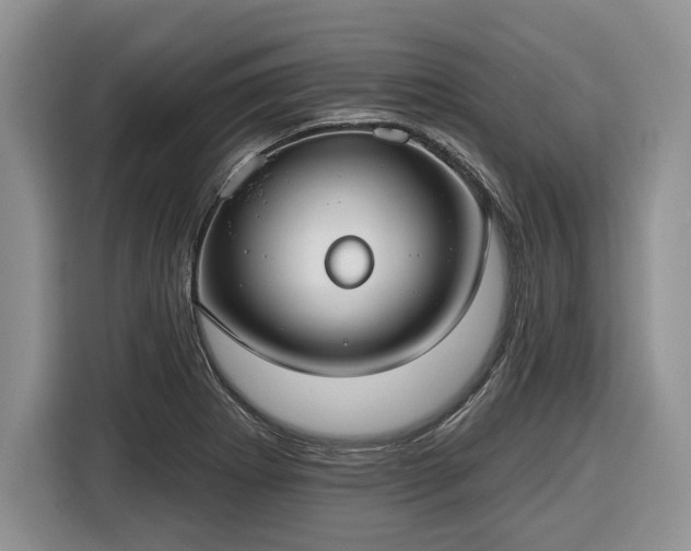 X0000116431273200912151011