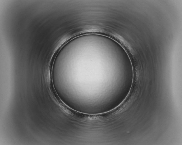 X0000116431274200912151011