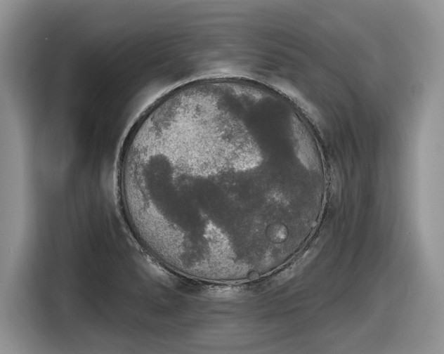 X0000116431278200912151011