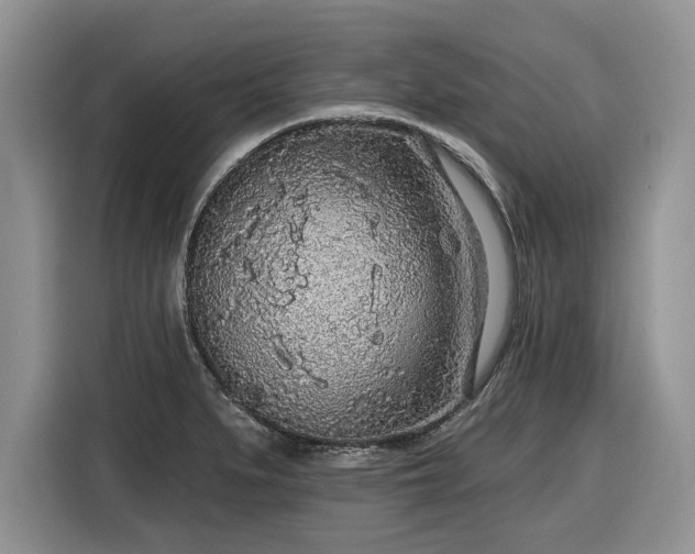 X0000116431279200912151011