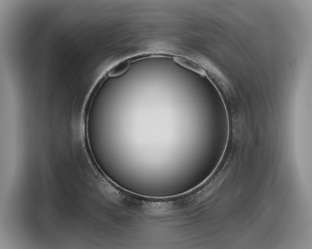 X0000116431280200912151011