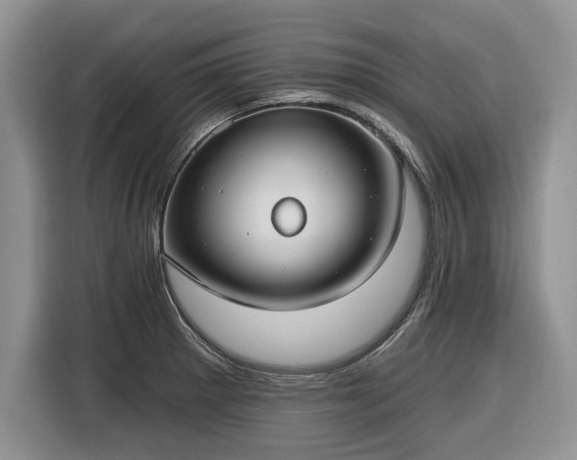 X0000116431281200912151011