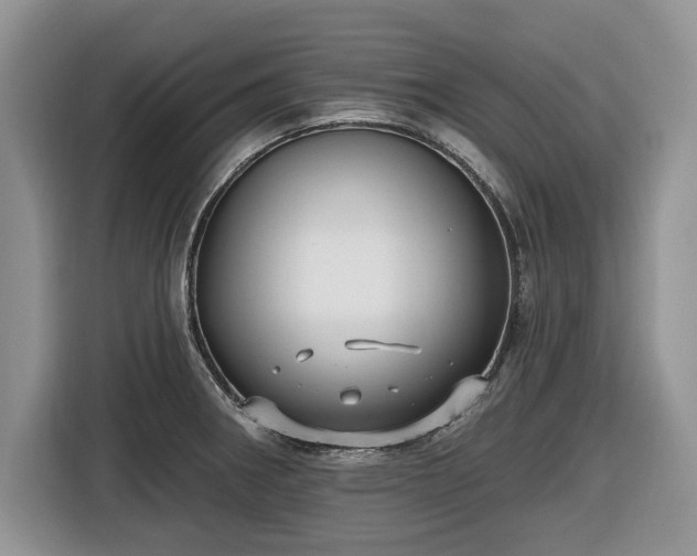 X0000116431282200912151011