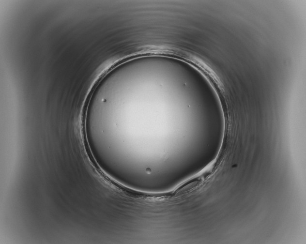 X0000116431283200912151011