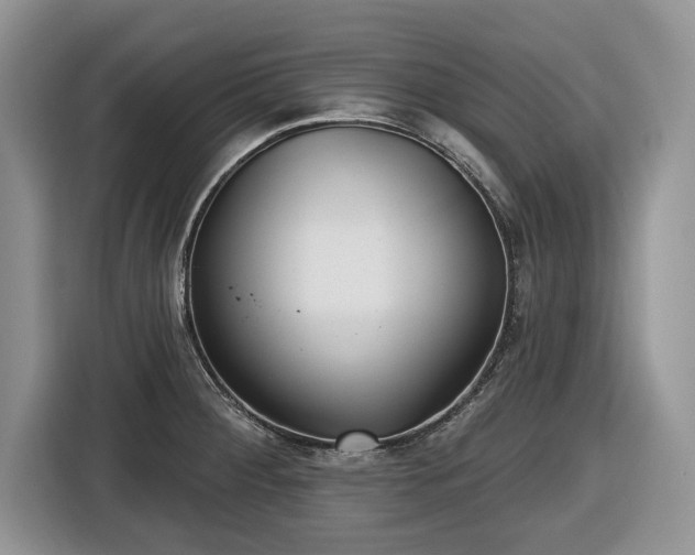 X0000116431284200912151011