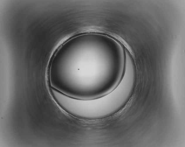 X0000116431285200912151011