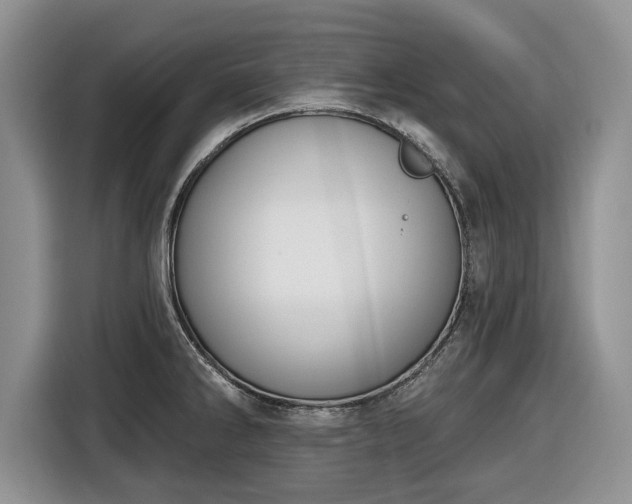 X0000116431286200912151011