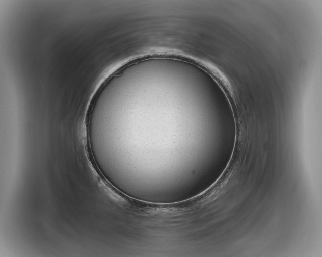 X0000116431287200912151011