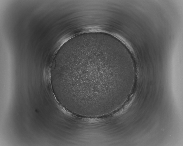 X0000116431289200912151011