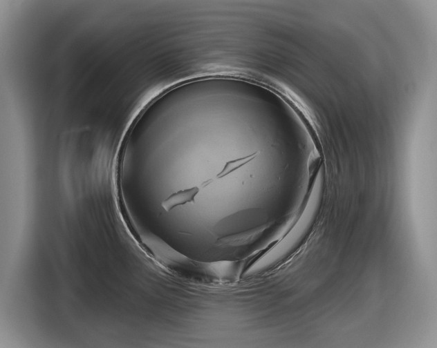 X0000116431291200912151011