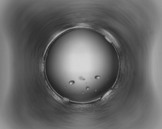 X0000116431292200912151011