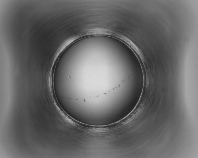 X0000116431293200912151011