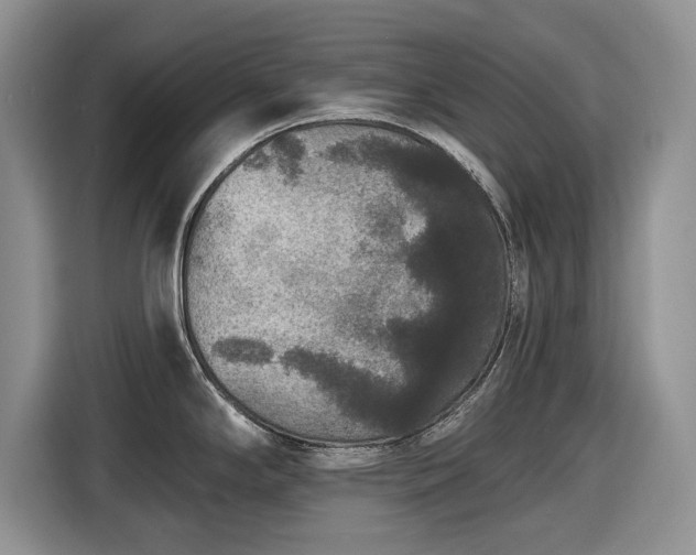 X0000116431294200912151011