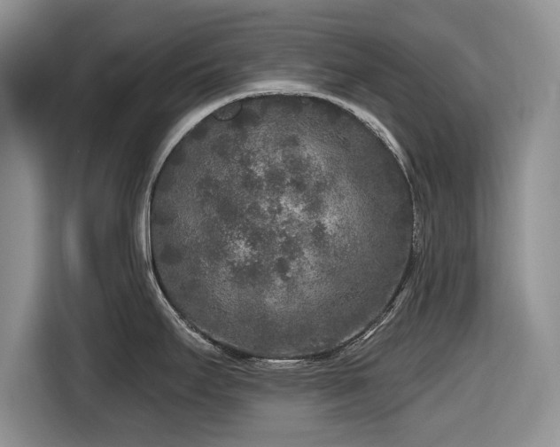 X0000116431295200912151011