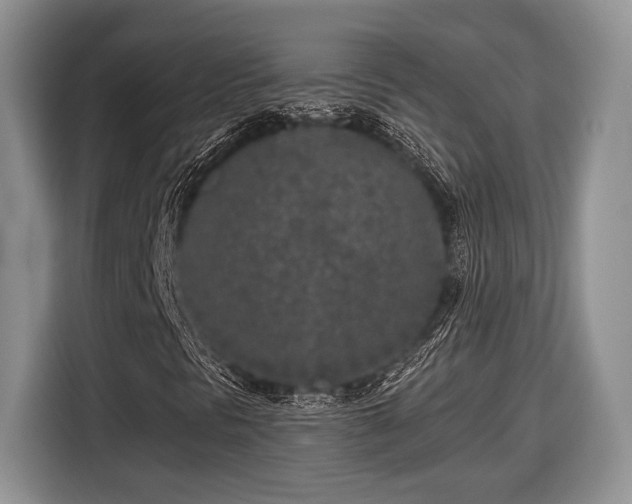 X0000116431297200912151010