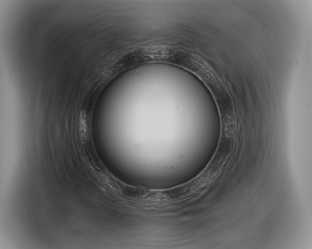 X0000116431298200912151010