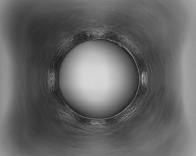 X0000116431299200912151010