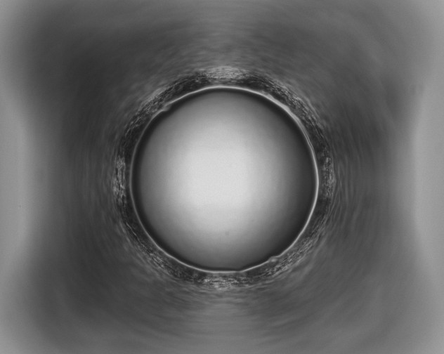 X0000116431301200912151010